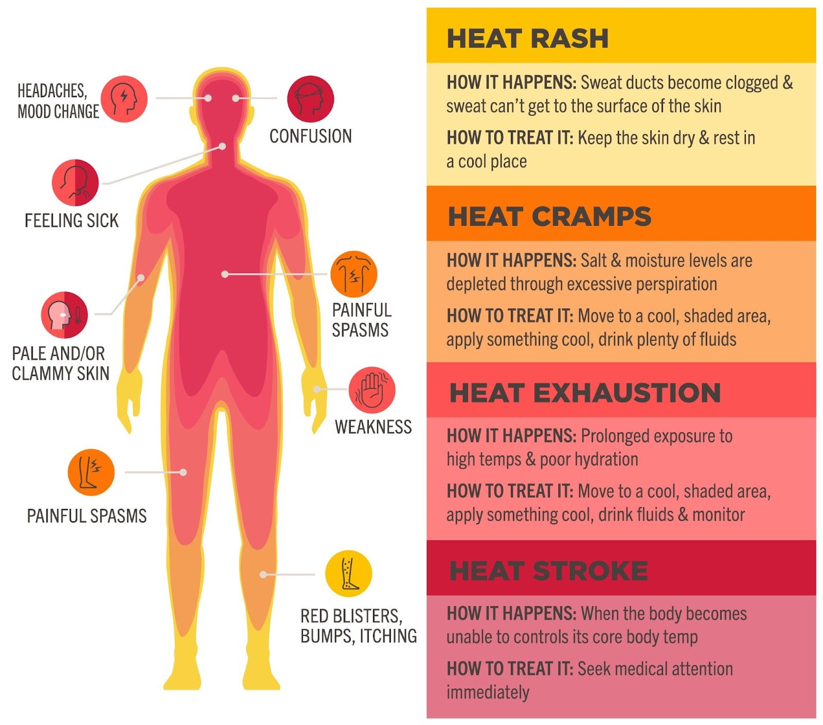 Heat rash, cramps, exhaustion and stroke can take place for a number of heat-related reasons and can be treated through various methods. Key symptoms to look out for are headaches, mood changes, confusion, feeling sick, pale or clammy skin, painful spams, weakness, blisters, bumps and itching