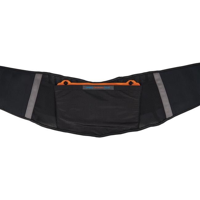 Back support brace with hot cold pack secured