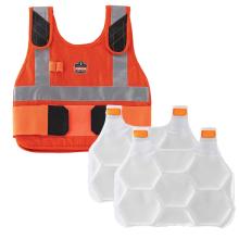 Vest and cooling packs