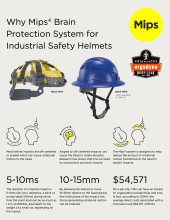 why mips brain protection white paper pdf